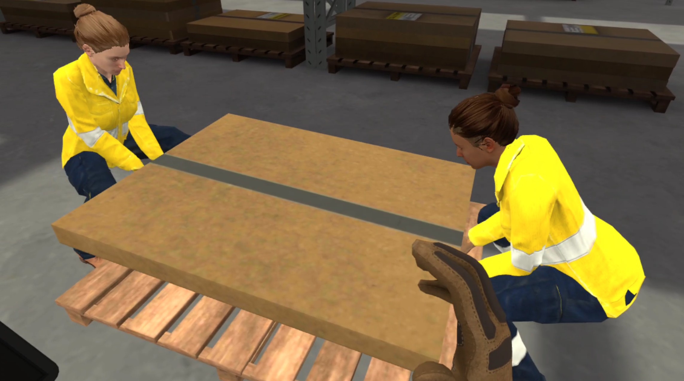 Manual Handling | Program-Ace